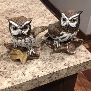 Set of Owls